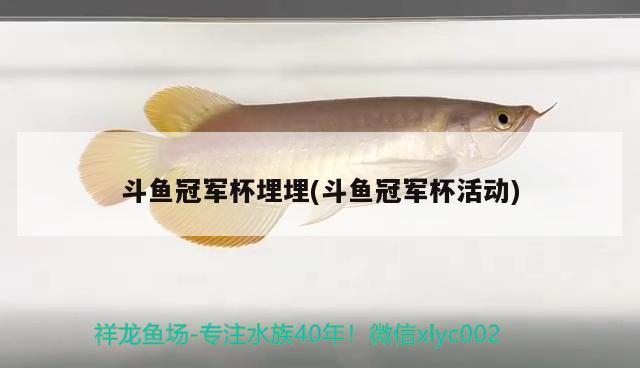 斗魚(yú)冠軍杯埋埋(斗魚(yú)冠軍杯活動(dòng)) 2024第28屆中國(guó)國(guó)際寵物水族展覽會(huì)CIPS（長(zhǎng)城寵物展2024 CIPS）