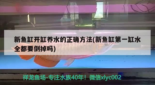 新魚缸開缸養(yǎng)水的正確方法(新魚缸第一缸水全都要倒掉嗎)