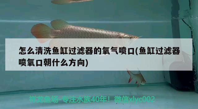 怎么清洗魚缸過濾器的氧氣噴口(魚缸過濾器噴氧口朝什么方向)