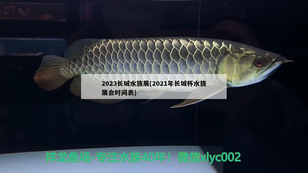 2023長城水族展(2021年長城杯水族展會(huì)時(shí)間表) 水族展會(huì)