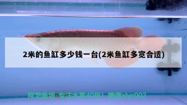 2米的魚缸多少錢一臺(2米魚缸多寬合適)