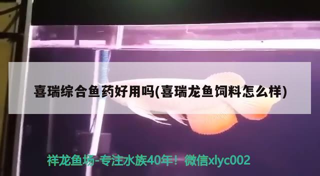 喜瑞綜合魚(yú)藥好用嗎(喜瑞龍魚(yú)飼料怎么樣) 2024第28屆中國(guó)國(guó)際寵物水族展覽會(huì)CIPS（長(zhǎng)城寵物展2024 CIPS）