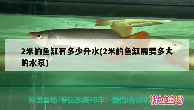 2米的魚缸有多少升水(2米的魚缸需要多大的水泵)