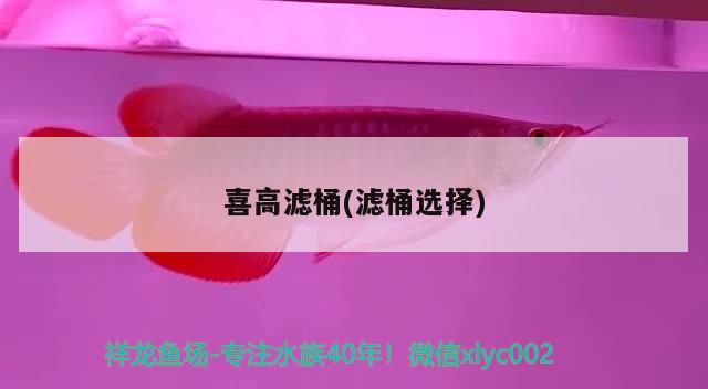 喜高濾桶(濾桶選擇) 2024第28屆中國(guó)國(guó)際寵物水族展覽會(huì)CIPS（長(zhǎng)城寵物展2024 CIPS）