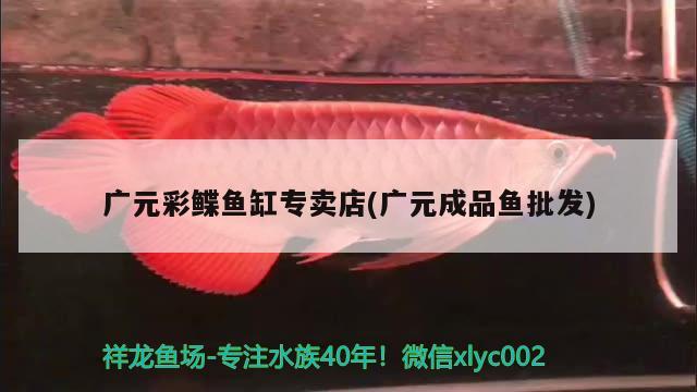 廣元彩鰈魚缸專賣店(廣元成品魚批發(fā))