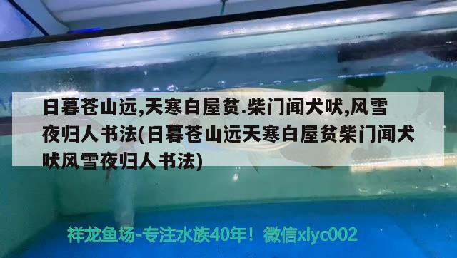 日暮蒼山遠,天寒白屋貧.柴門聞犬吠,風雪夜歸人書法(日暮蒼山遠天寒白屋貧柴門聞犬吠風雪夜歸人書法)