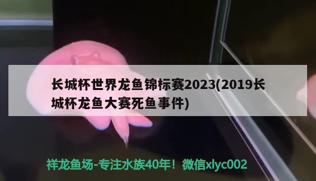 長(zhǎng)城杯世界龍魚(yú)錦標(biāo)賽2023(2019長(zhǎng)城杯龍魚(yú)大賽死魚(yú)事件)