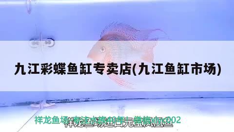 九江彩蝶魚缸專賣店(九江魚缸市場)