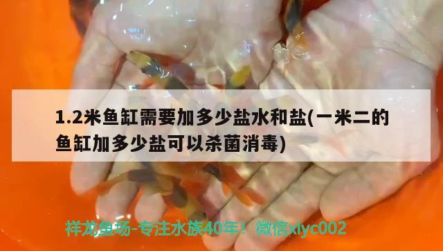 1.2米魚缸需要加多少鹽水和鹽(一米二的魚缸加多少鹽可以殺菌消毒) 紅龍魚百科 第2張