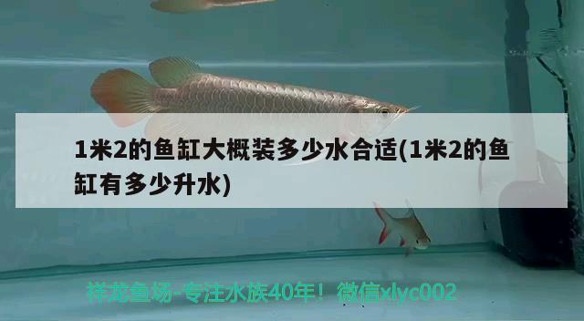 1米2的魚(yú)缸大概裝多少水合適(1米2的魚(yú)缸有多少升水)