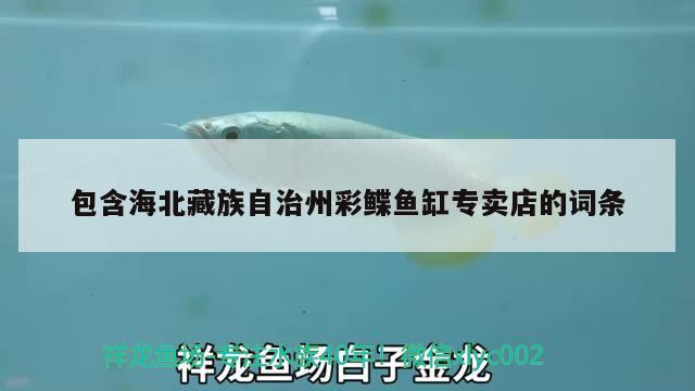 包含海北藏族自治州彩鰈魚缸專賣店的詞條 彩鰈魚缸（彩蝶魚缸）