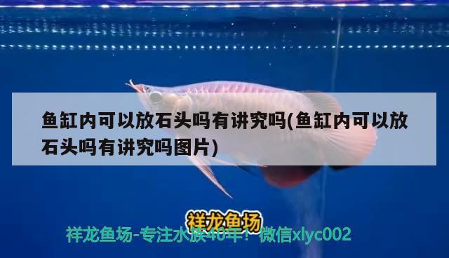 魚缸內(nèi)可以放石頭嗎有講究嗎(魚缸內(nèi)可以放石頭嗎有講究嗎圖片) 除藻劑 第1張