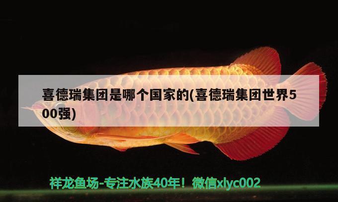 喜德瑞集團是哪個國家的(喜德瑞集團世界500強) 2024第28屆中國國際寵物水族展覽會CIPS（長城寵物展2024 CIPS）