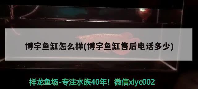 博宇魚缸怎么樣(博宇魚缸售后電話多少) 2024第28屆中國國際寵物水族展覽會CIPS（長城寵物展2024 CIPS）