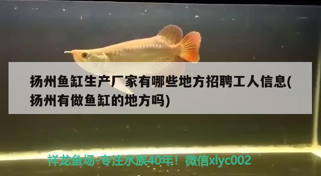 揚州魚缸生產(chǎn)廠家有哪些地方招聘工人信息(揚州有做魚缸的地方嗎)