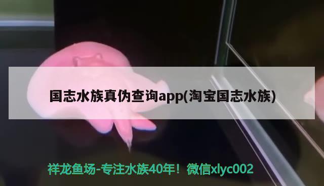 國志水族真?zhèn)尾樵僡pp(淘寶國志水族) 2024第28屆中國國際寵物水族展覽會CIPS（長城寵物展2024 CIPS）