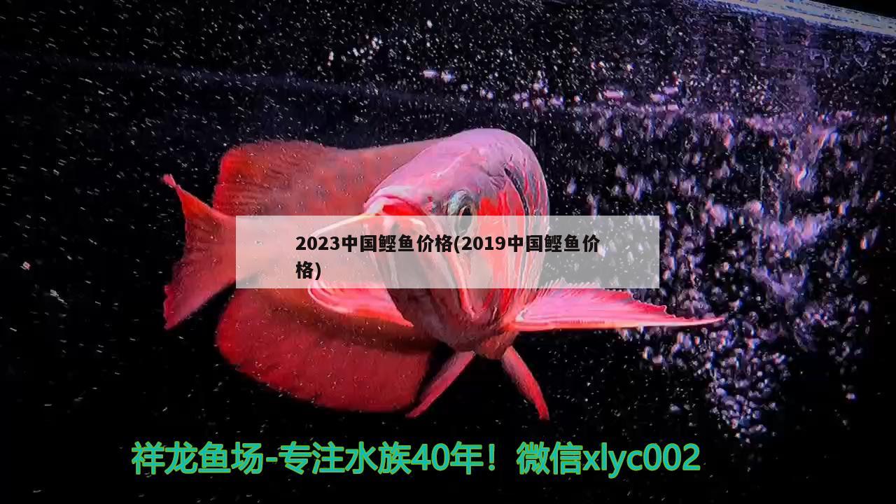 2023中國鰹魚價(jià)格(2019中國鰹魚價(jià)格) 2024第28屆中國國際寵物水族展覽會CIPS（長城寵物展2024 CIPS）