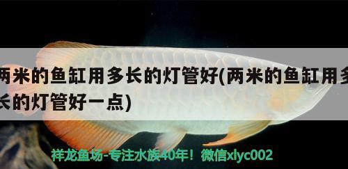 兩米的魚(yú)缸用多長(zhǎng)的燈管好(兩米的魚(yú)缸用多長(zhǎng)的燈管好一點(diǎn))