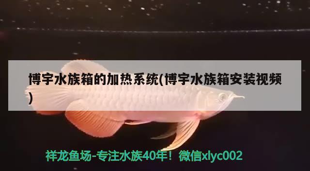 博宇水族箱的加熱系統(tǒng)(博宇水族箱安裝視頻) 魚缸/水族箱