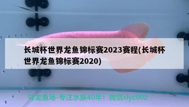 長城杯世界龍魚錦標賽2023賽程(長城杯世界龍魚錦標賽2020) 2024第28屆中國國際寵物水族展覽會CIPS（長城寵物展2024 CIPS）