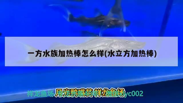 一方水族加熱棒怎么樣(水立方加熱棒) 一方水族