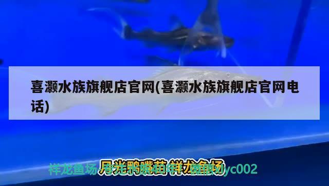 喜灝水族旗艦店官網(wǎng)(喜灝水族旗艦店官網(wǎng)電話) 2024第28屆中國國際寵物水族展覽會(huì)CIPS（長城寵物展2024 CIPS）