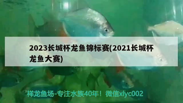 2023長城杯龍魚錦標賽(2021長城杯龍魚大賽)