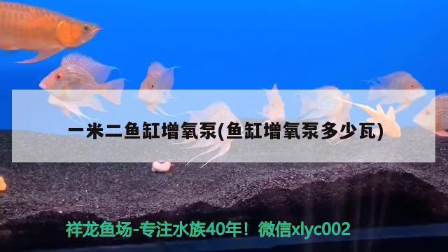 一米二魚缸增氧泵(魚缸增氧泵多少瓦)