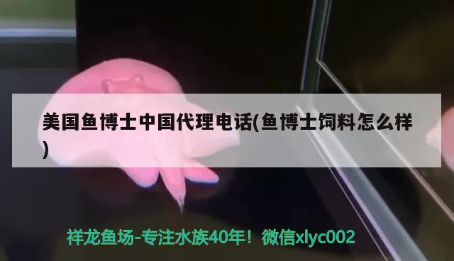 美國(guó)魚(yú)博士中國(guó)代理電話(魚(yú)博士飼料怎么樣) 2024第28屆中國(guó)國(guó)際寵物水族展覽會(huì)CIPS（長(zhǎng)城寵物展2024 CIPS）