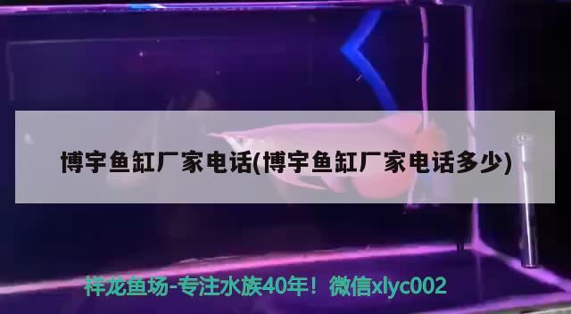 博宇魚缸廠家電話(博宇魚缸廠家電話多少) 2024第28屆中國國際寵物水族展覽會(huì)CIPS（長城寵物展2024 CIPS）