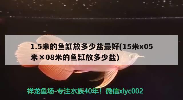 1.5米的魚缸放多少鹽最好(15米x05米×08米的魚缸放多少鹽) 黑金魟魚