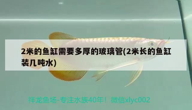 2米的魚缸需要多厚的玻璃管(2米長的魚缸裝幾噸水)