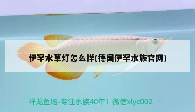 伊罕水草燈怎么樣(德國伊罕水族官網(wǎng))