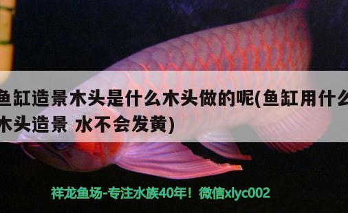 魚缸造景木頭是什么木頭做的呢(魚缸用什么木頭造景水不會發(fā)黃)