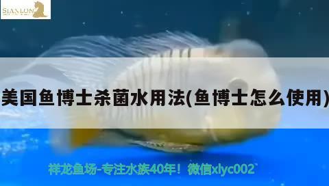 美國(guó)魚(yú)博士殺菌水用法(魚(yú)博士怎么使用) 2024第28屆中國(guó)國(guó)際寵物水族展覽會(huì)CIPS（長(zhǎng)城寵物展2024 CIPS）