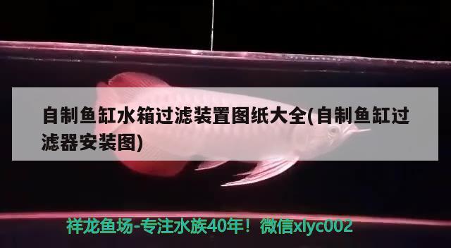 自制魚(yú)缸水箱過(guò)濾裝置圖紙大全(自制魚(yú)缸過(guò)濾器安裝圖)