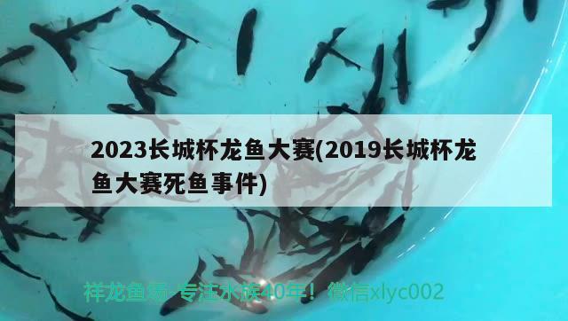 2023長城杯龍魚大賽(2019長城杯龍魚大賽死魚事件)