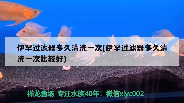 伊罕過濾器多久清洗一次(伊罕過濾器多久清洗一次比較好)