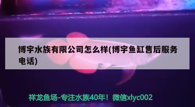 博宇水族有限公司怎么樣(博宇魚缸售后服務(wù)電話) 2024第28屆中國國際寵物水族展覽會CIPS（長城寵物展2024 CIPS）