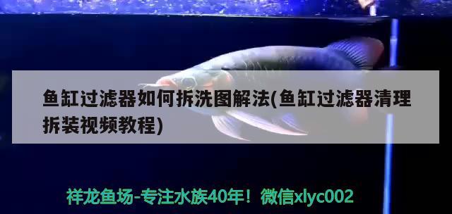 魚缸過濾器如何拆洗圖解法(魚缸過濾器清理拆裝視頻教程) 彩鰈魚缸（彩蝶魚缸）