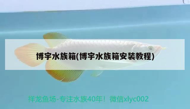 博宇水族箱(博宇水族箱安裝教程) 魚缸/水族箱