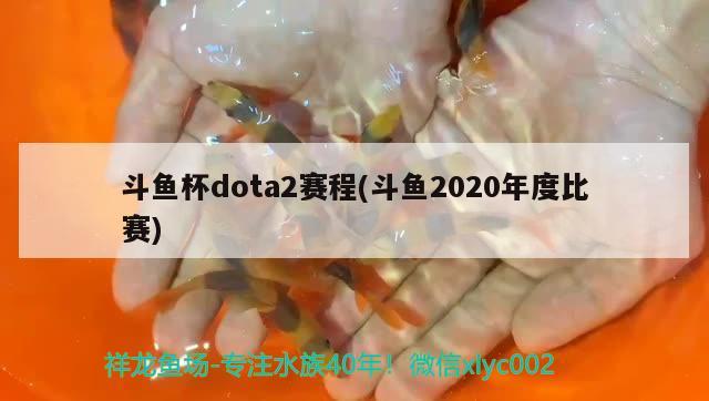 斗魚杯dota2賽程(斗魚2020年度比賽)