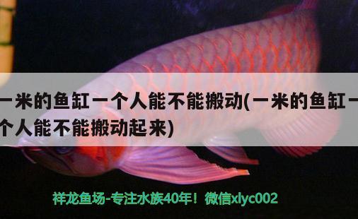 一米的魚缸一個(gè)人能不能搬動(一米的魚缸一個(gè)人能不能搬動起來) 虎斑恐龍魚