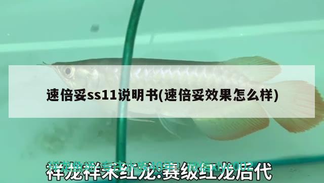 速倍妥ss11說(shuō)明書(shū)(速倍妥效果怎么樣)