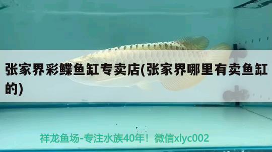 張家界彩鰈魚缸專賣店(張家界哪里有賣魚缸的)