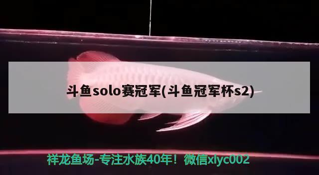 斗魚solo賽冠軍(斗魚冠軍杯s2)