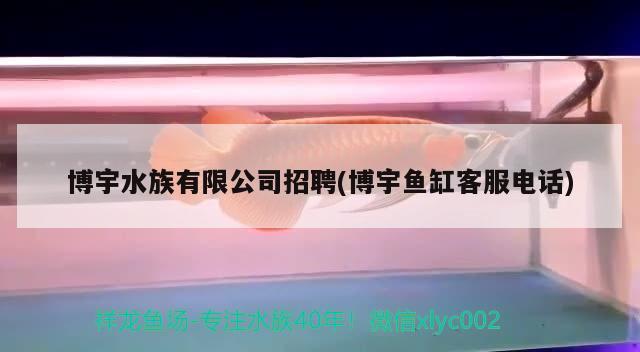 博宇水族有限公司招聘(博宇魚(yú)缸客服電話) 2024第28屆中國(guó)國(guó)際寵物水族展覽會(huì)CIPS（長(zhǎng)城寵物展2024 CIPS）