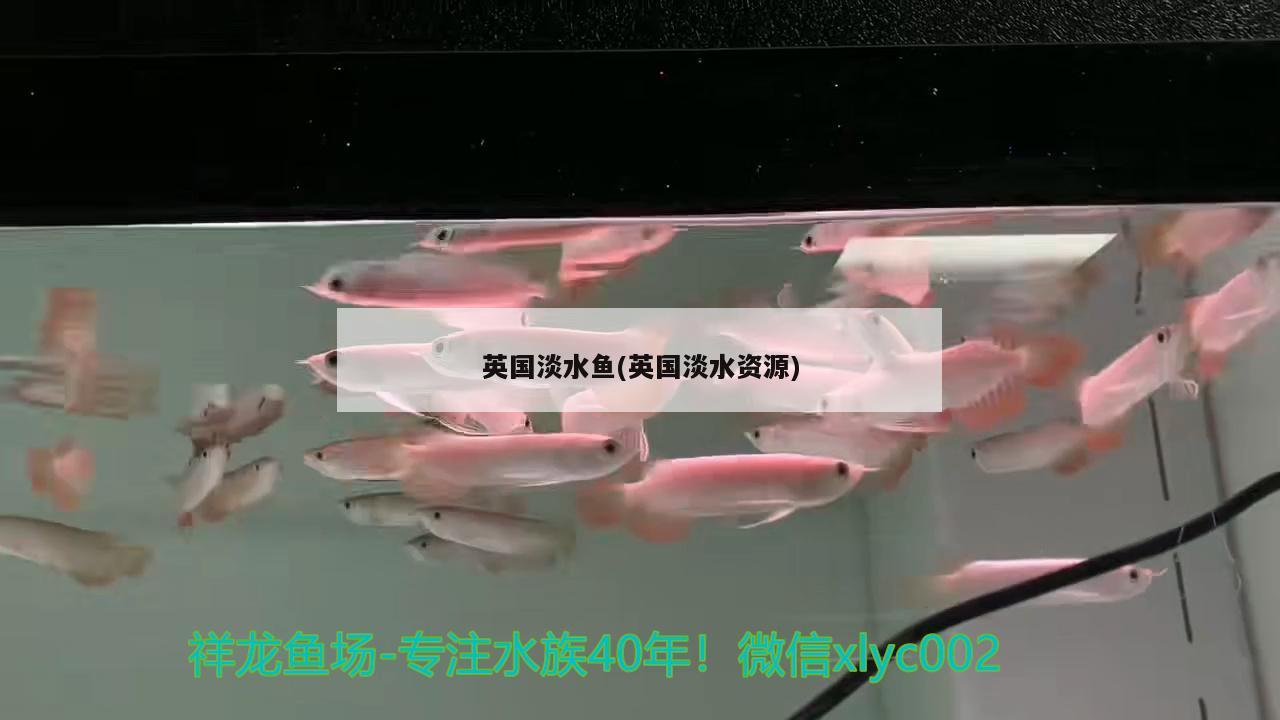 英國淡水魚(英國淡水資源) 2024第28屆中國國際寵物水族展覽會CIPS（長城寵物展2024 CIPS）