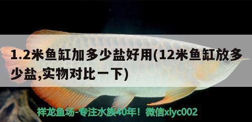 1.2米魚缸加多少鹽好用(12米魚缸放多少鹽,實物對比一下) 硝化細菌