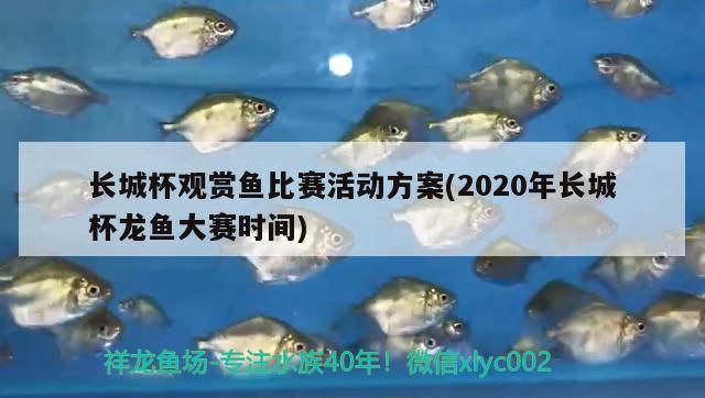 長(zhǎng)城杯觀賞魚(yú)比賽活動(dòng)方案(2020年長(zhǎng)城杯龍魚(yú)大賽時(shí)間) 2024第28屆中國(guó)國(guó)際寵物水族展覽會(huì)CIPS（長(zhǎng)城寵物展2024 CIPS）